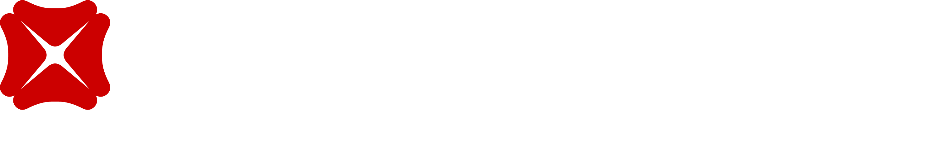 DBS Foundation
